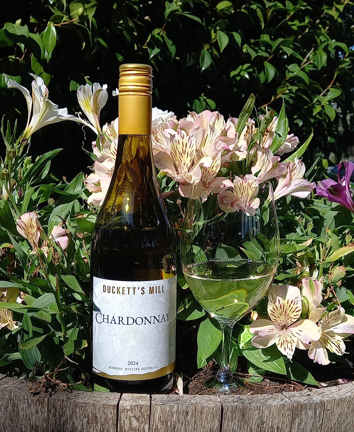 2024 Wooded Chardonnay