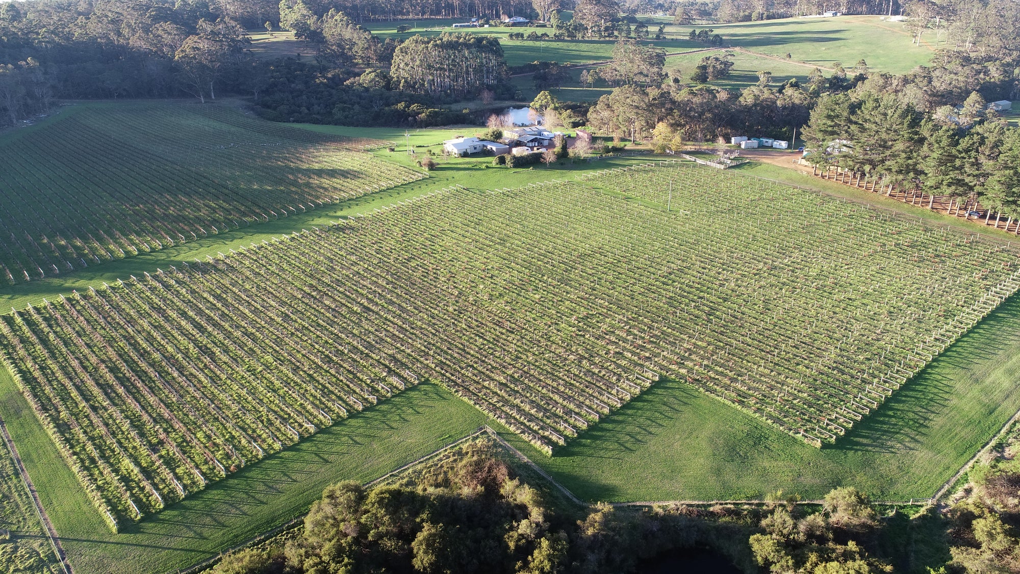 vineyard in denmark western australia cellar door tastings and cheesemaking on site