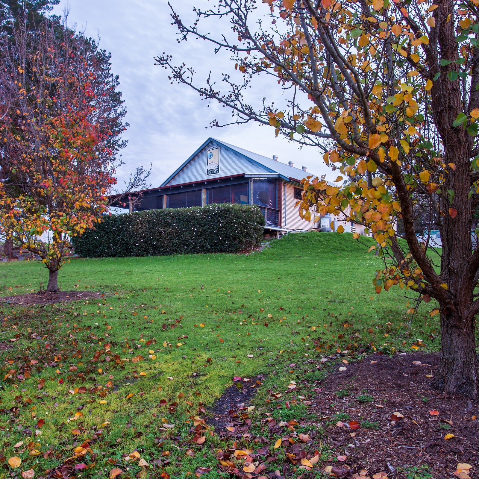 Denmark Farmhouse Cheese Duckett's Mill Wines