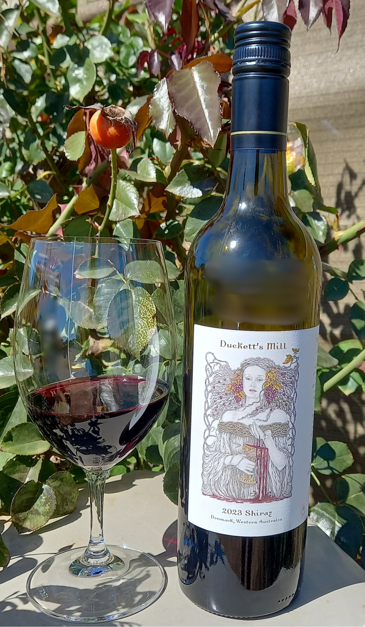 2023 Shiraz &quot;Art Series Collection&quot; Celebrating 20 Years