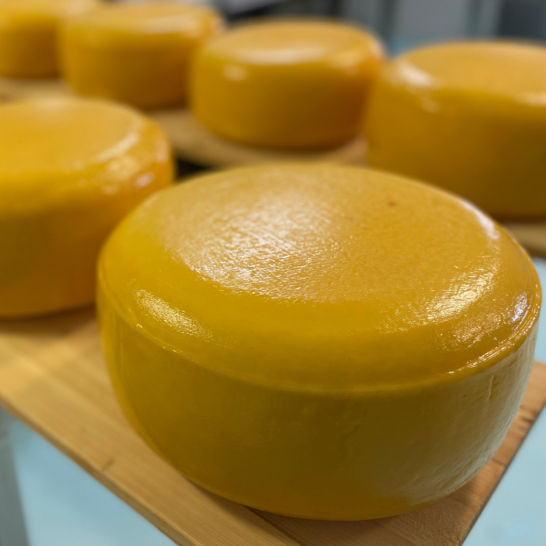Close-up of a wheel of cheese on a wooden board with other wheels in the background.