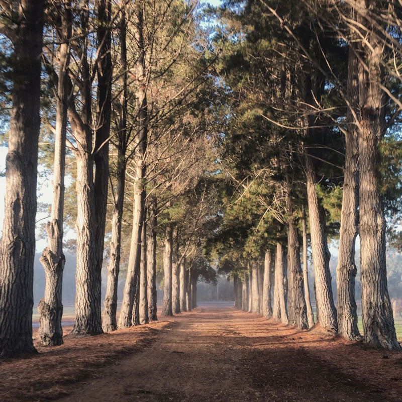 Denmark Farmhouse Cheese Duckett's Mill Wines